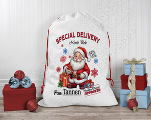 Santa Delivery Tote